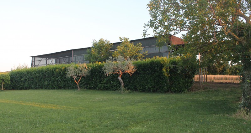 gallery-image